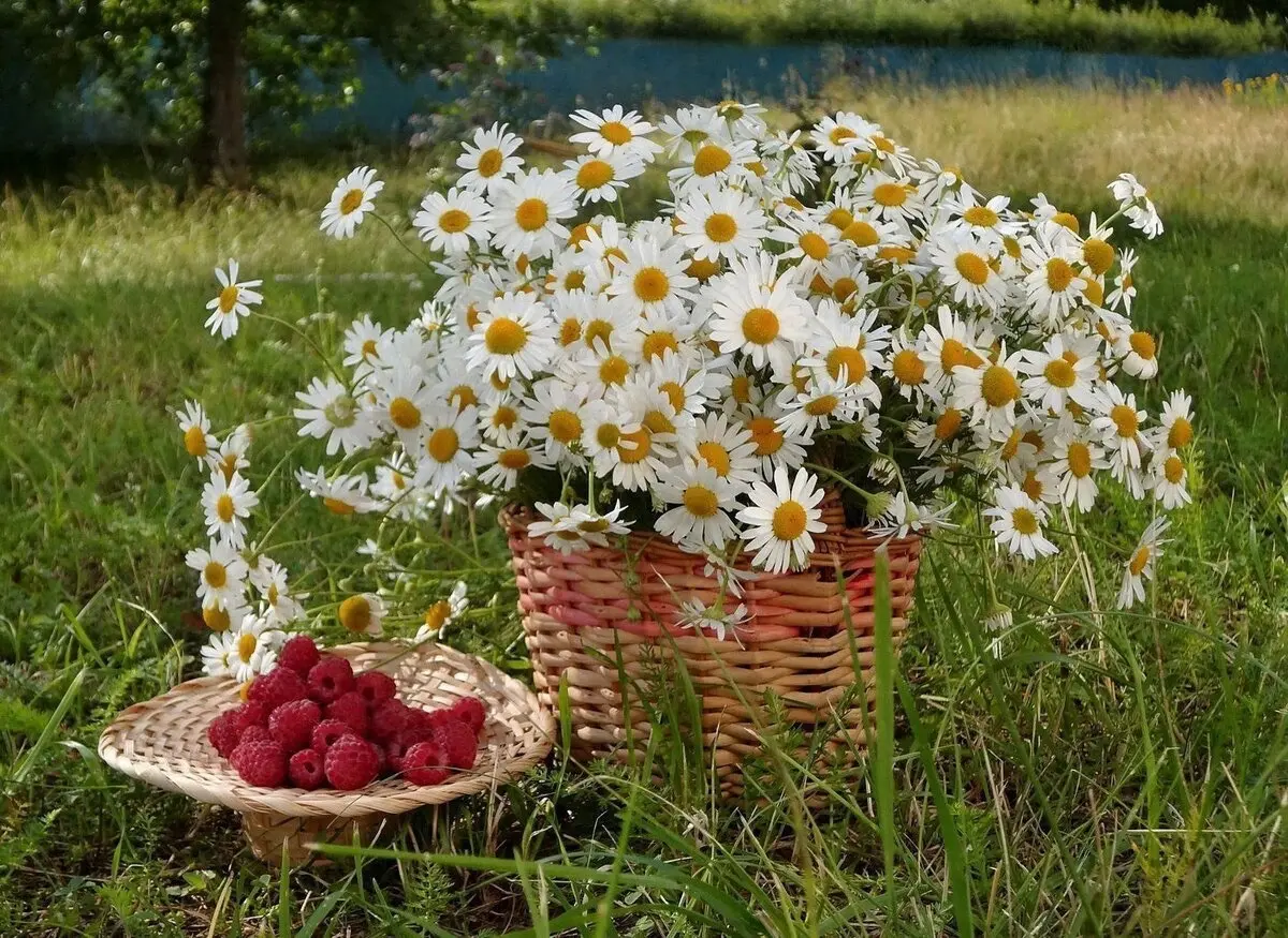 26 июля состоялось закрытие лагерной смены пришкольного летнего оздоровительного лагеря с дневным пребыванием детей на базе ГКОУ «Кимрская школа-интернат». В нашем лагере отдохнули 15 детей разного возраста от 8 до 18 лет. Воспитателями проводились различные конкурсы и спортивные мероприятия, не были забыты и культурно-развлекательные выходы в музей.